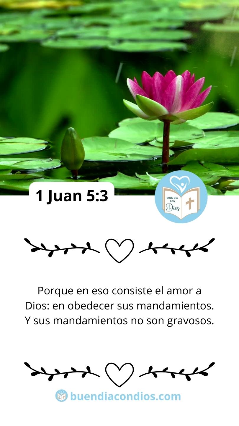 1 Juan 5:3