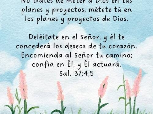 Deléitate asimismo en Jehová - Salmos 37:4-5